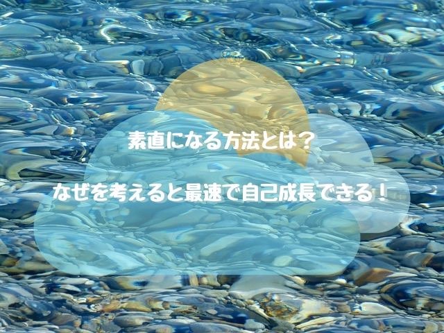 素直になる方法とは なぜを考えると最速で自己成長できる 映画好きの経理スペシャリストのブログ