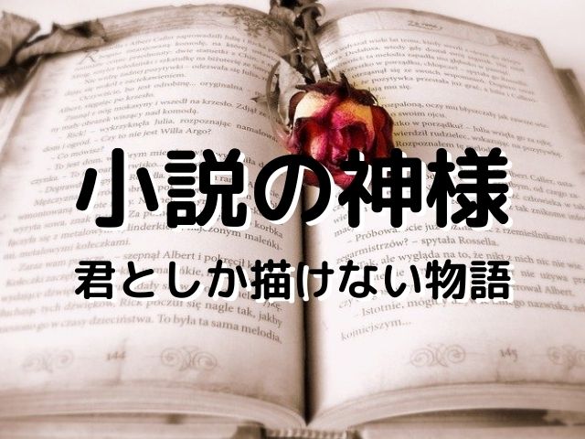 暴力女子と女々しい男子の大好きとは 映画 小説の神様 君としか描けない物語 ネタバレ あらすじ 映画好きの経理スペシャリストのブログ